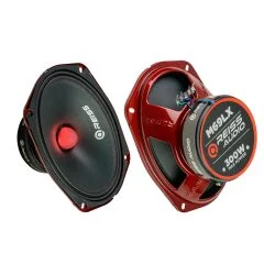 Reiss RS-M69LX 300W Çift
