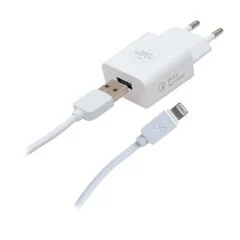Kablo Powerway X-907 5 Volt 2000 mA Hızlı Şarj Başlık Adaptörü - iPhone