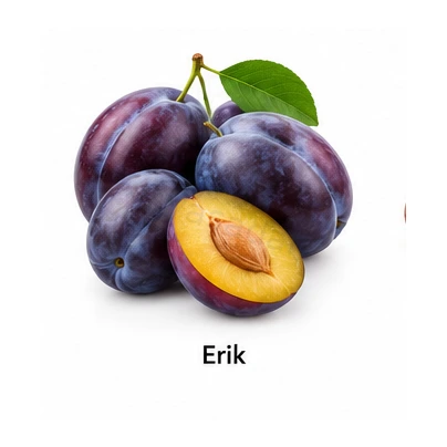 Erik