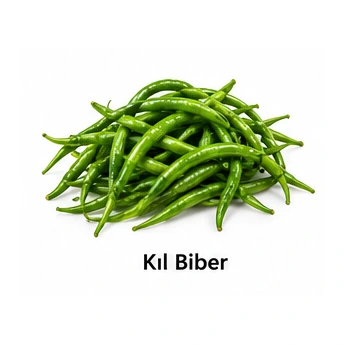 Kıl Biber