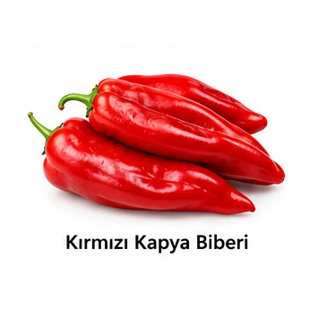 Kırmızı Kapya Biber