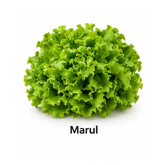 Marul