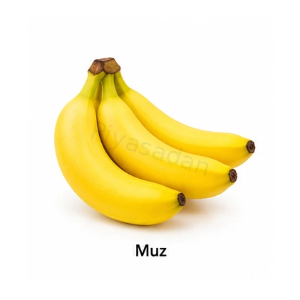 Muz