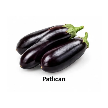 Patlıcan