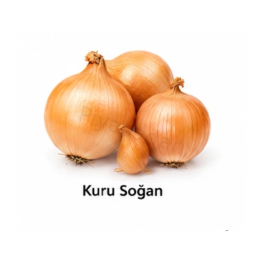 Kuru Soğan