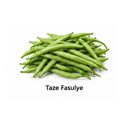 Taze Fasulye