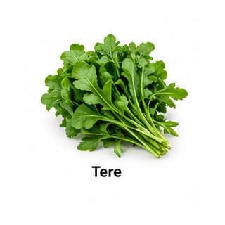 Tere