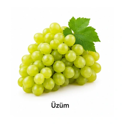 Üzüm